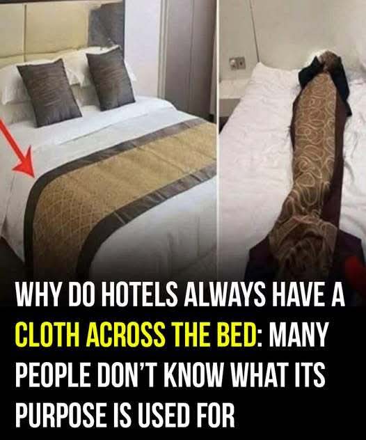 🛏️ What’s the Purpose of the Fabric Strip Across Hotel Beds? (It’s Not Just for Looks!) 🌟