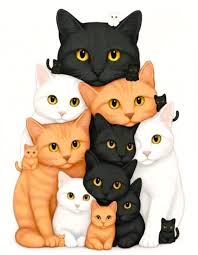 The Cat Vision Challenge That’s Driving Everyone Crazy